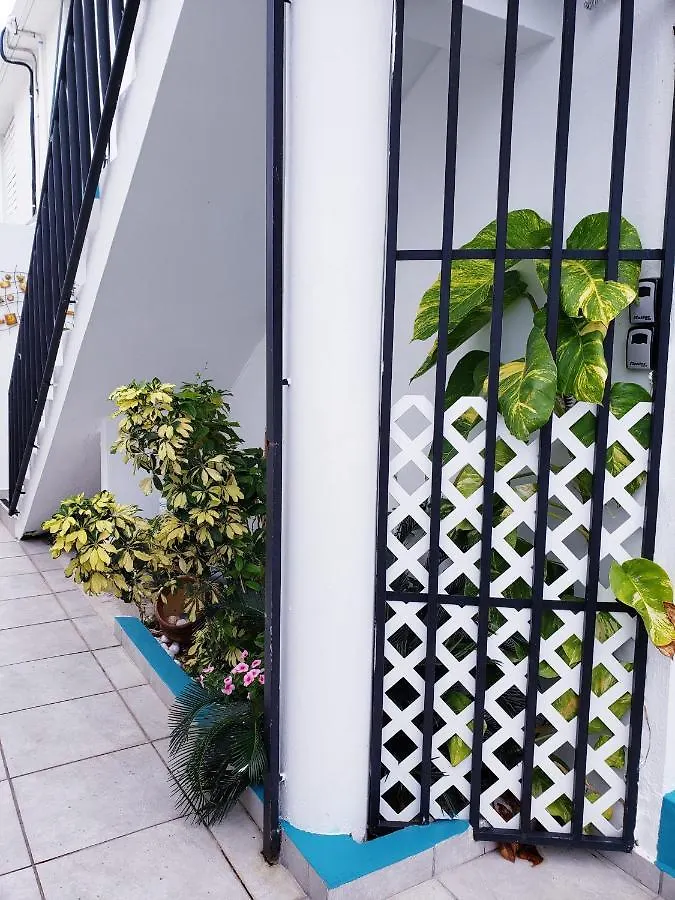 Mh House Apt #1 カロライナ アパート